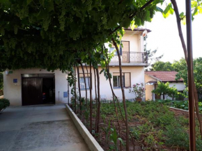 Apartman Ivan